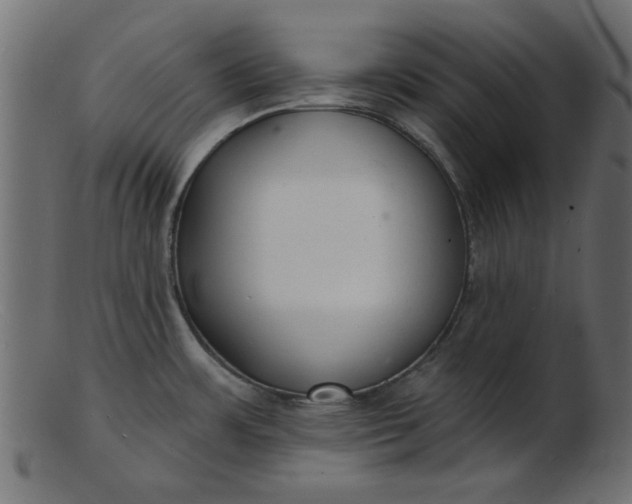 X0000103241483200809111545