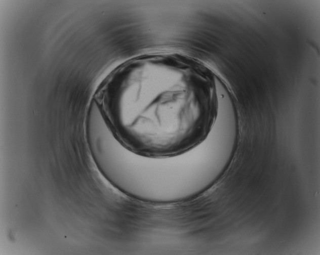 X0000103241484200809111545