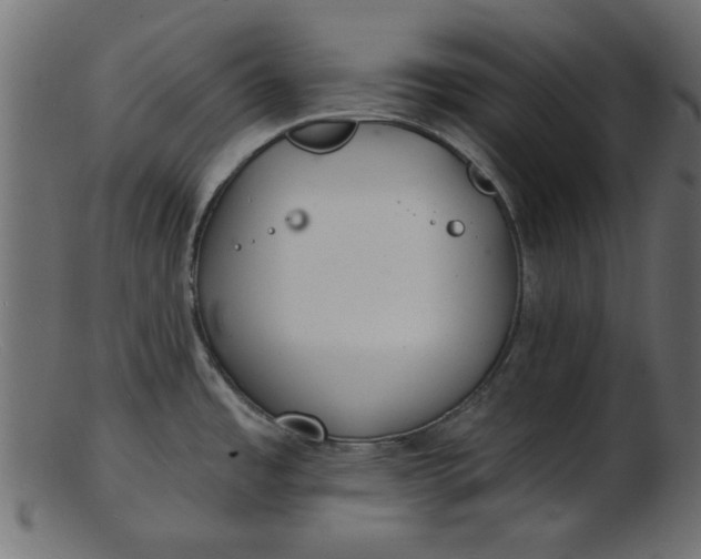 X0000103241485200809111545