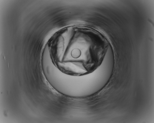 X0000103241488200809111545