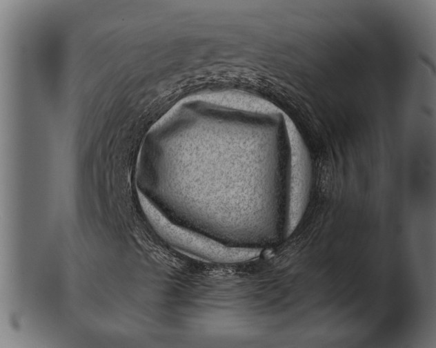 X0000103241489200809111544