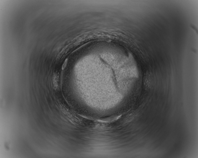 X0000103241490200809111544