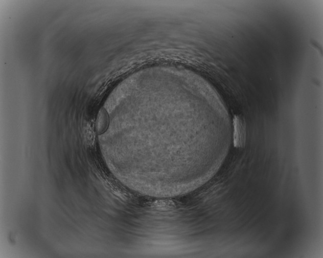 X0000103241491200809111544