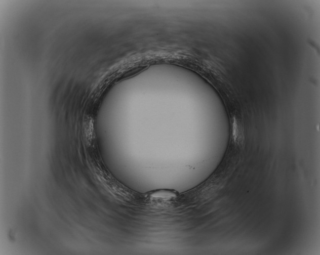 X0000103241492200809111544