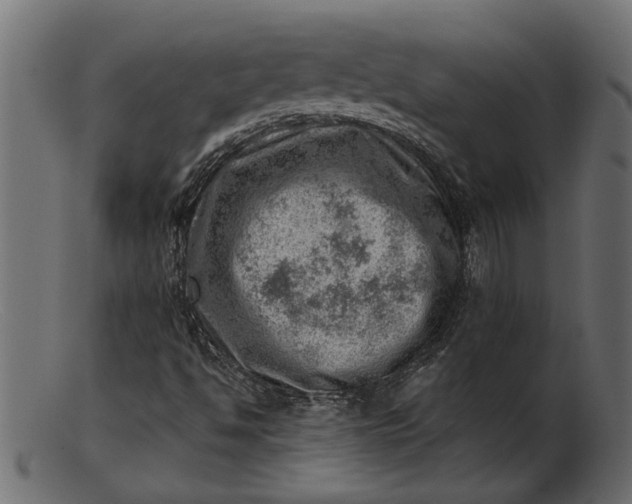 X0000103241494200809111544