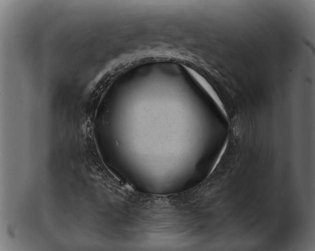 X0000103241495200809111544