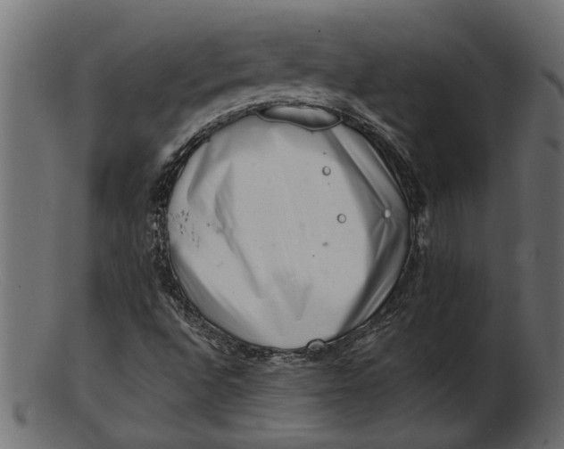 X0000103241496200809111544