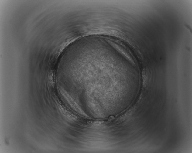 X0000103241497200809111544