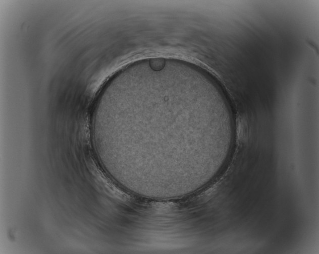 X0000103241498200809111544