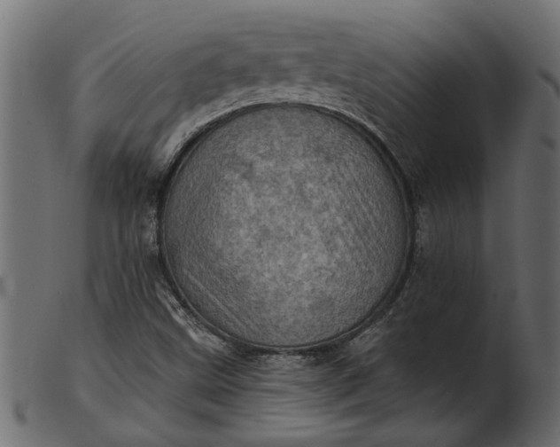 X0000103241499200809111544