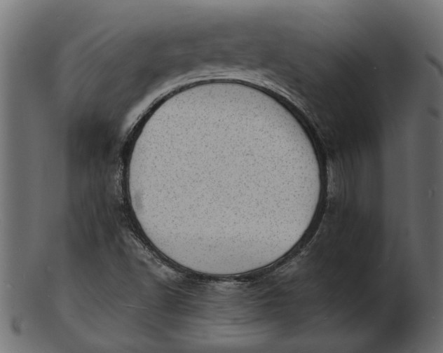 X0000103241502200809111545