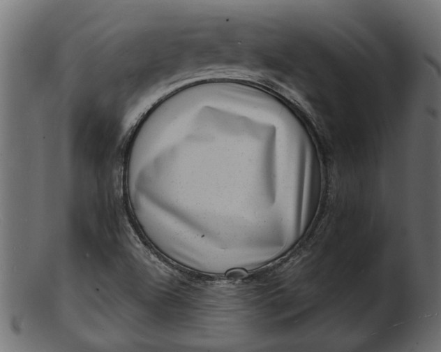 X0000103241504200809111545