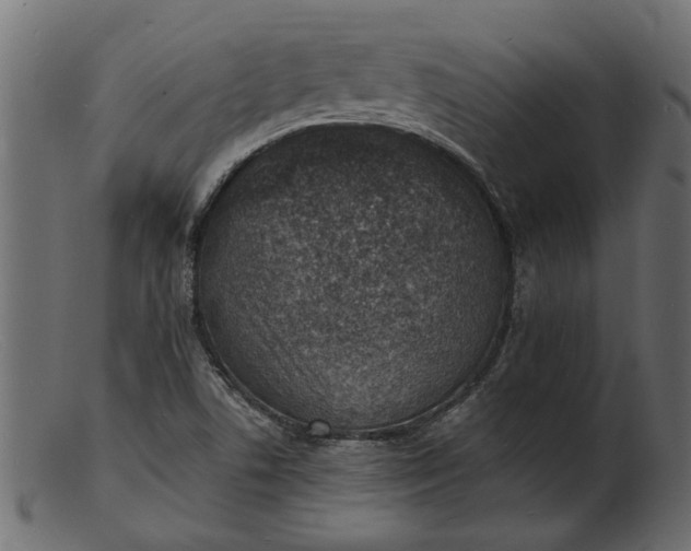 X0000103241506200809111545