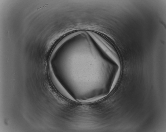 X0000103241507200809111545