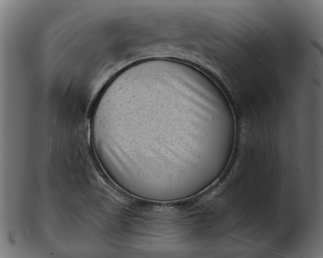 X0000103241509200809111545