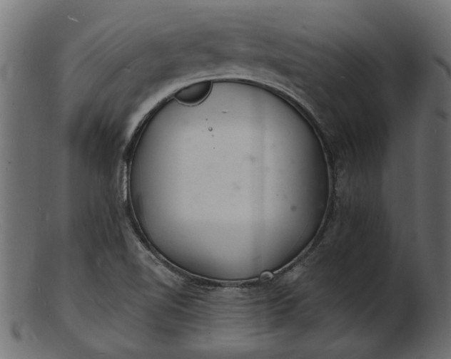 X0000103241510200809111545