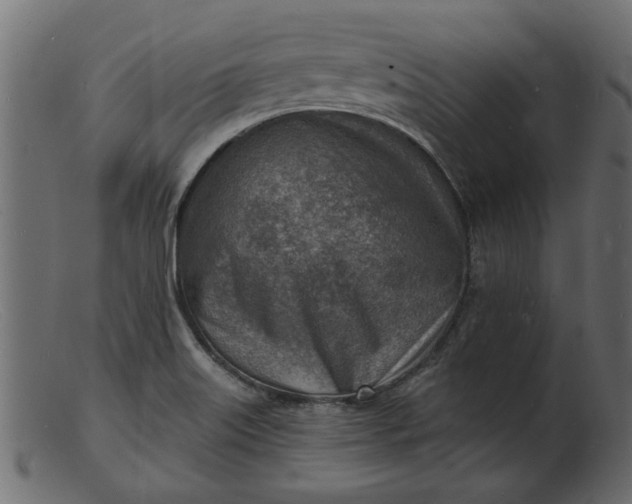 X0000103241515200809111545