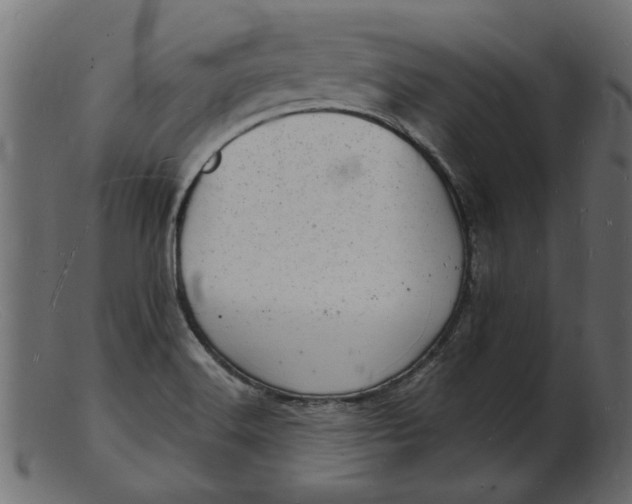 X0000103241516200809111545