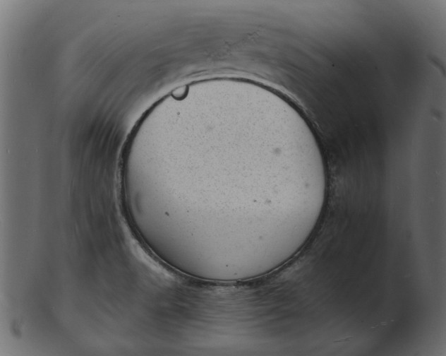 X0000103241518200809111545