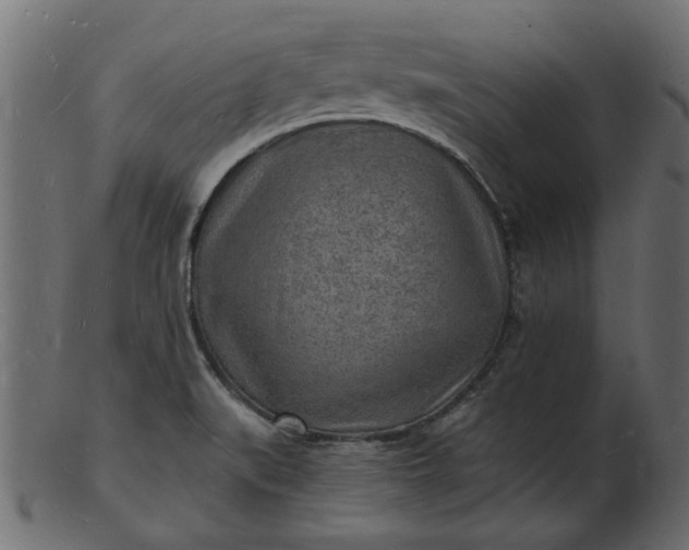 X0000103241519200809111545