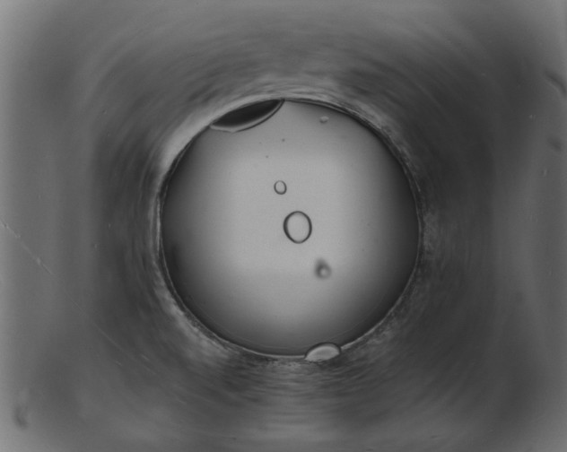 X0000103241520200809111545