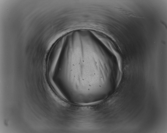 X0000103241523200809111545