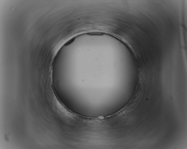 X0000103241524200809111545