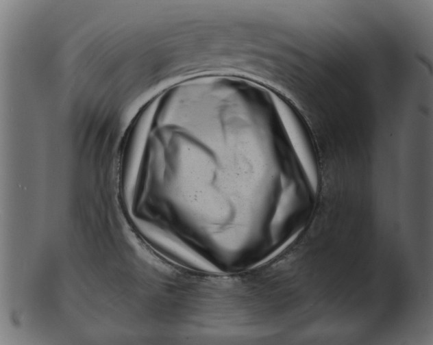 X0000103241526200809111545