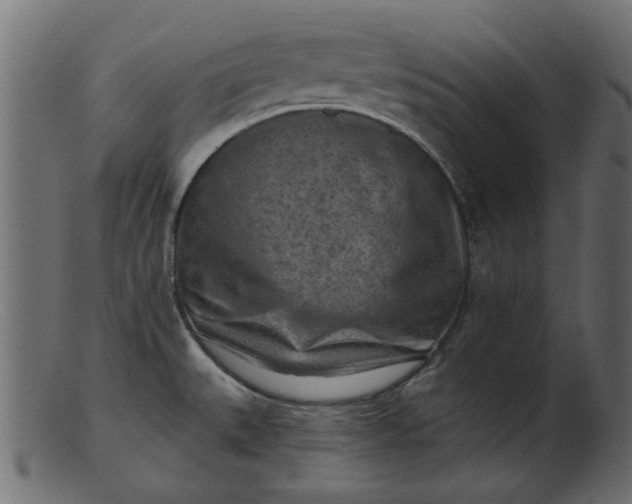 X0000103241527200809111545