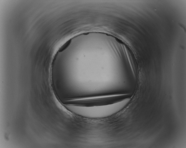 X0000103241528200809111545