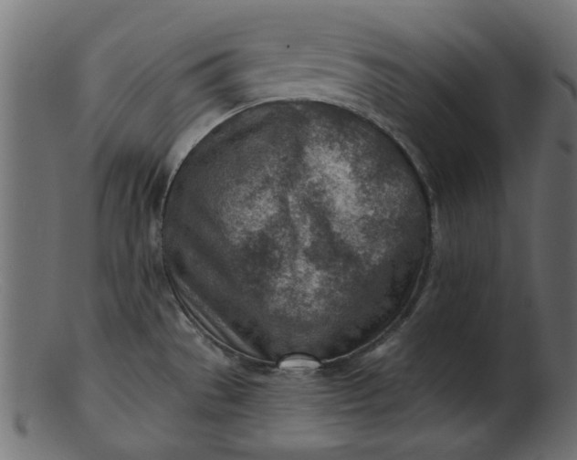 X0000103241529200809111545