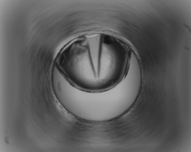 X0000103241530200809111545