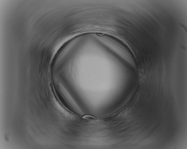 X0000103241531200809111545