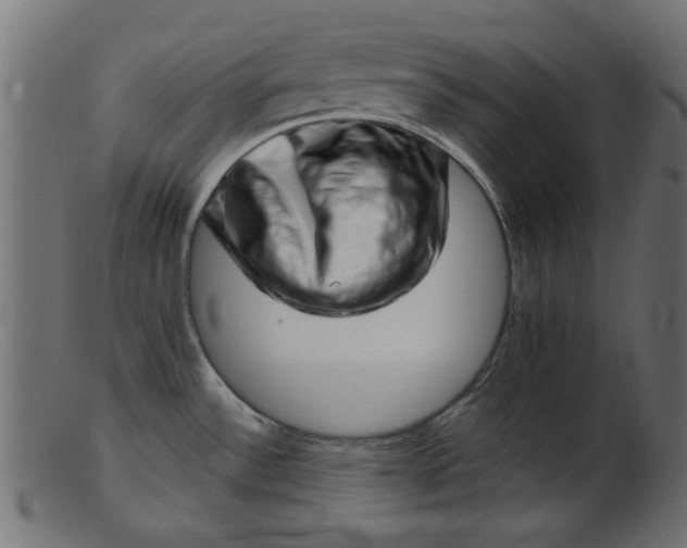 X0000103241532200809111545