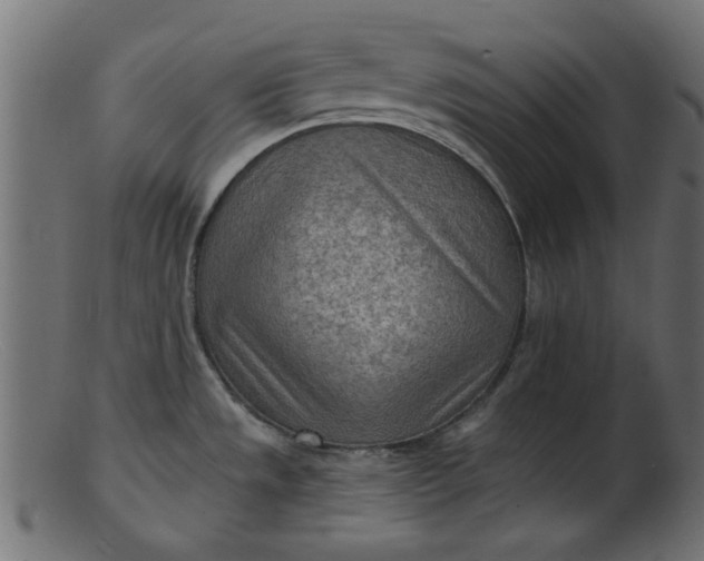 X0000103241533200809111545