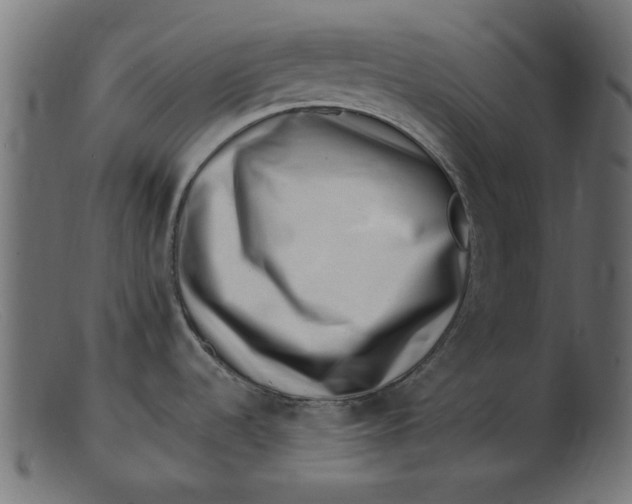 X0000103241536200809111545