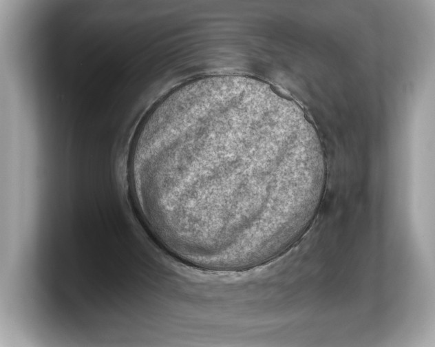 X0000103240002200809181553