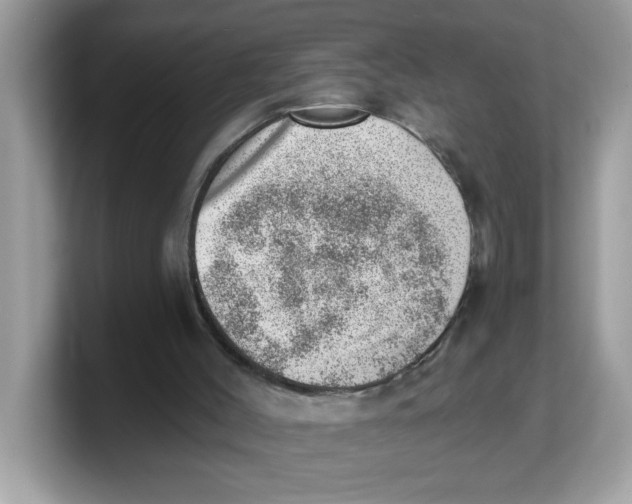 X0000103240004200809181553