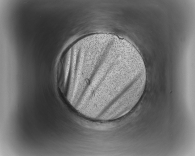 X0000103240008200809181553