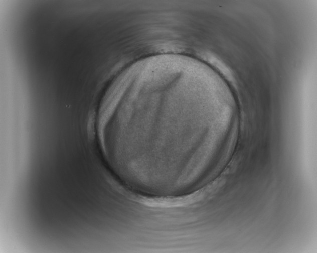 X0000103240009200809181553