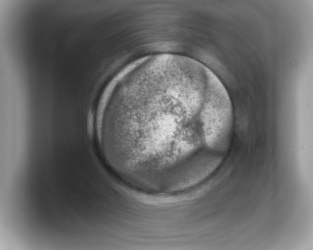 X0000103240014200809181553