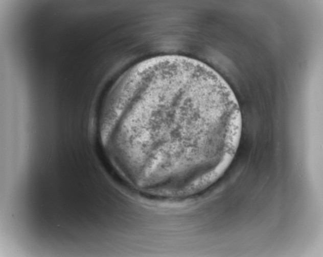 X0000103240016200809181553