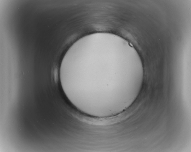 X0000103240019200809181553