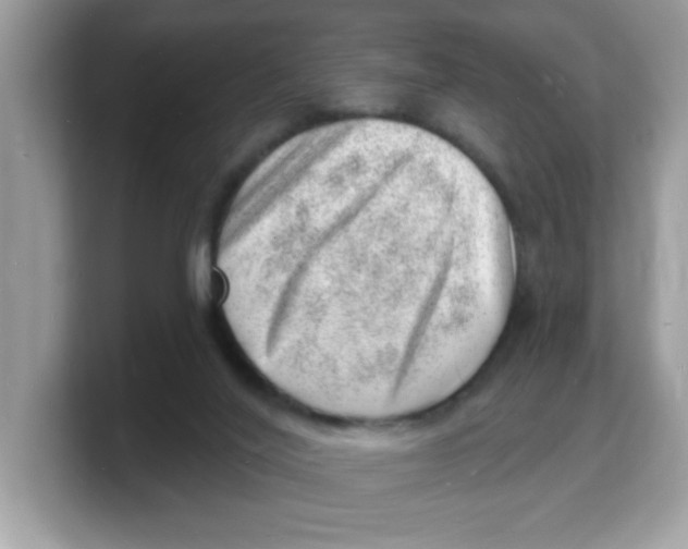 X0000103240020200809181553