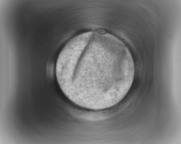 X0000103240024200809181553