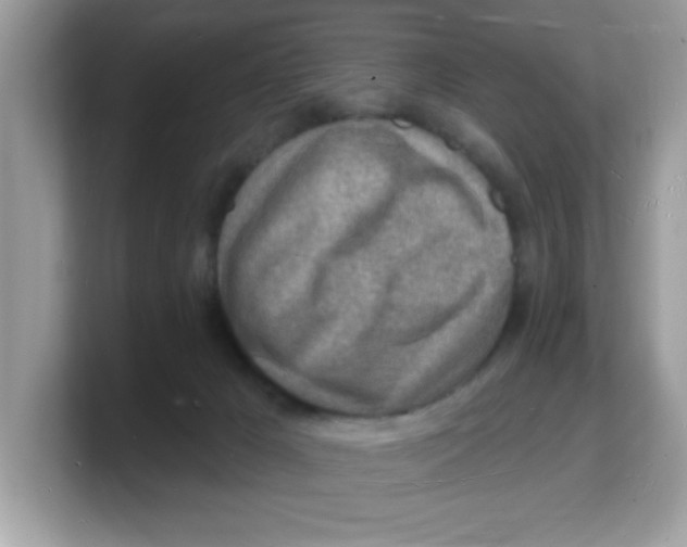 X0000103240029200809181553