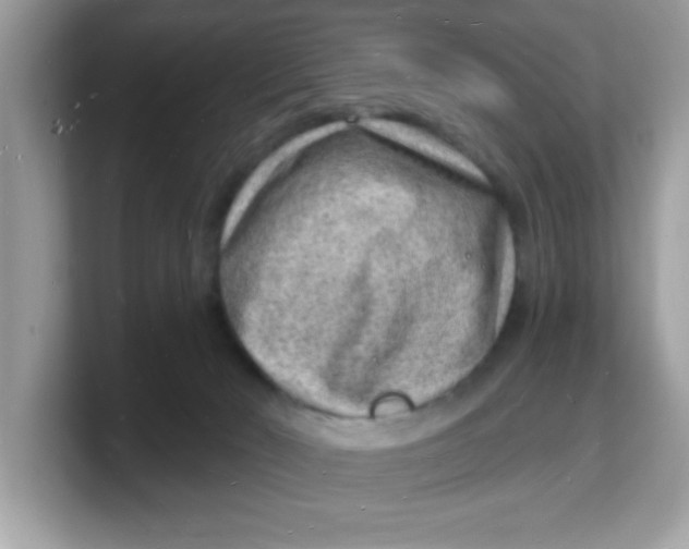 X0000103240030200809181553