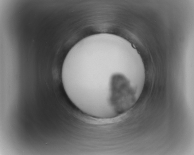 X0000103240031200809181553