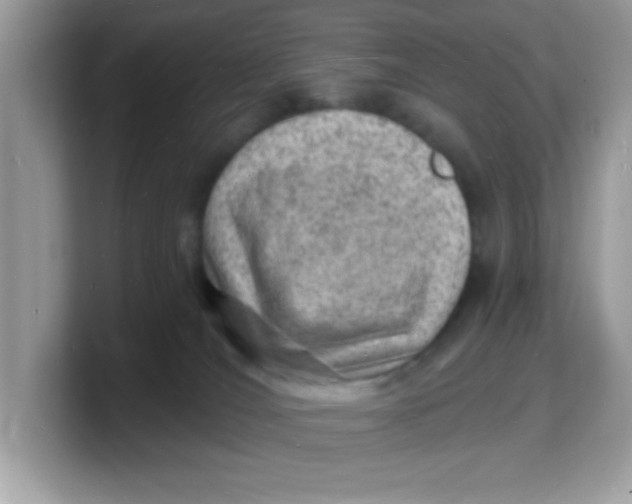 X0000103240036200809181553