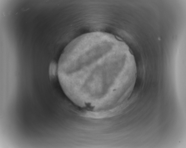 X0000103240041200809181553